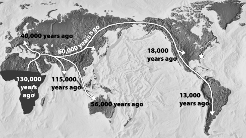 In the figure below, the arrows on the map indicate a hypothesis regarding the movement of modern human populations throughout the world.   In 2004, a set of human tools dated to 50,000 years old was found at the location of the star on the map (the southeast United States) . If the age of these tools is correct, which of the following is true? A) This discovery disproves the out-of-Africa hypothesis. B) This discovery confirms the multiregional hypothesis. C) This discovery suggests that modern humans evolved in North America rather than Africa. D) This discovery suggests that the human colonization occurred at a much faster rate than previously hypothesized by scientists.