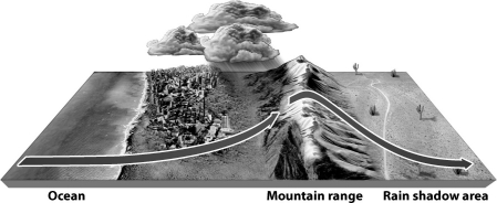 The figure below illustrates the rain shadow effect.   What best explains why the leeward side of the mountain experiences less rainfall? A) The air mass simply has no more moisture; it was all released on the windward slope. B) As the air flows downslope it is compressed and warmed, allowing it not only to retain its own moisture but often removing moisture from the soil beneath as well. C) The rotation of the Earth causes the air moving downslope to be displaced to the right, reducing rainfall behind the mountain. D) All of the above contribute to the rain shadow effect.