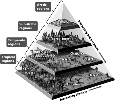 Understanding plate tectonics has helped ecologists make sense of ancient biomes; when landmasses move in elevation or to different regions of the globe they experience climatic change.   Use the figure above to predict the change for a temperate deciduous forest as it moves south and elevates by 5,000 feet. A) It becomes a tropical forest. B) It becomes a grassland. C) It becomes chaparral. D) It becomes a boreal forest.