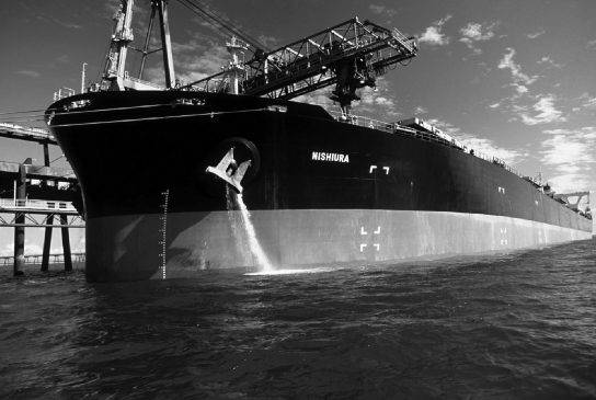 Dumping ballast water, such as this ship is doing, has the potential to introduce new organisms to aquatic environments far from their native habitats, but no organisms have been transferred this way so far.   