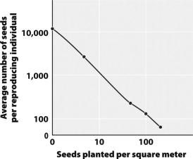 Examine the graph below.   What statement best describes the relationship between planting density and seed production per individual plant? A) At high planting densities, both seed production per plant and total seeds produced declines. B) At high planting densities, seed production per plant declines while total seeds produced remains constant. C) At low planting densities, both seed production per plant and total seeds produced increases. D) At high planting densities, seed production per plant declines while total seeds produced increases.
