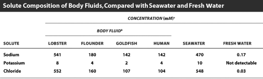 Examine the table below.   Based on the data in this table, which organism is most likely to be an osmoconformer? Note that lobsters and flounders live in seawater and goldfish live in freshwater. A) lobster B) flounder C) goldfish D) humans