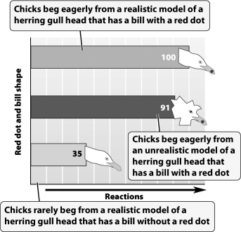 Based on the data presented in the graph below, begging in response to a red dot is a learned behavior.   