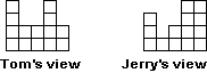 Tom and Jerry must rake all the leaves in a yard. They each view the yard as shown below and agree to divide the chore by the divide-and-choose method. Tom will divide the yard in two parts and Jerry will choose the side he has to rake. Describe the results of this fair division.  