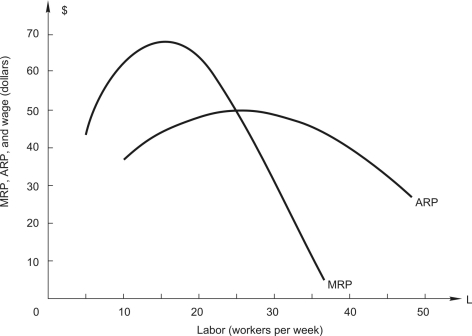 The following figure shows the average revenue product (ARP) and marginal revenue product curves of monopoly for its only variable input, labor.    -If the wage is $60, the firm will hire _________ workers.