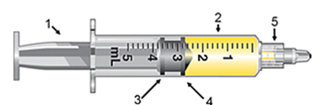 <strong>Referring to the syringe, number 1 represents the </strong> A) barrel. B) leading ring. C) plunger. D) hub.