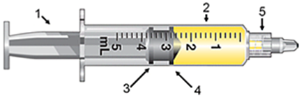 The leading ring is represented by which number?   A)  3 B)  5 C)  2 D)  4