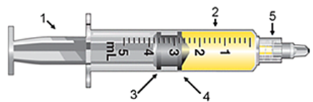 What is represented by the number 5?   A)  barrel B)  hub C)  leading ring D)  training ring