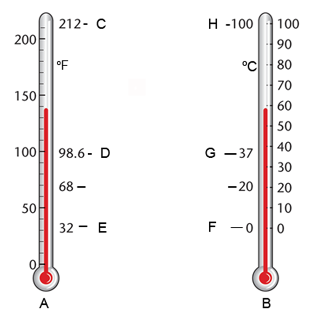 Which letter indicates the boiling temperature of water on the Fahrenheit thermometer?   A)  D B)  G C)  C D)  A
