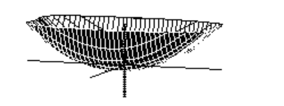  Choose the graph of the equation. - z=-y^{4}-4 x y-2 y^{2}+\frac{1}{16}  A)     B)    C)     D)    
