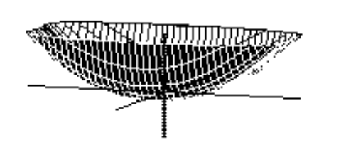  Choose the graph of the equation. - z= x^{4}-2 x^{2}+ y^{2}-\frac{17}{16}  A)     B)    C)     D)    