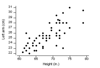 A scatterplot of y = height and x = left forearm length (cm) for 55 college students is given below. Is there a positive association or a negative association? Explain what this association means in the context of this situation.