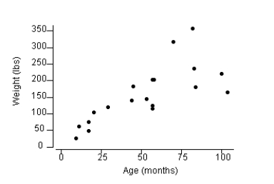 The following plot shows the association between weight (pounds) and age (months) for 19 female bears. Write an interpretation of this plot. Is the association negative or positive? Linear or curvilinear? Are there any outliers?