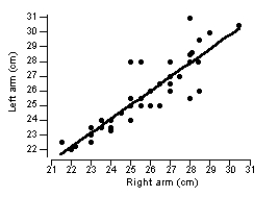 <strong>The following scatterplot shows the relationship between the left and right forearm lengths (cm) for 55 college students along with the regression line, where y = left forearm length x = right forearm length. (Source: physical dataset on the CD.) Which is the appropriate equation for the regression line in the plot?</strong> A) \hat{y} = 1.22 + 0.95x B) \hat{y} = 1.22 -0.95x C) \hat{x} = 1.22 + 0.95y D) \hat{x} = 1.22 - 0.95y
