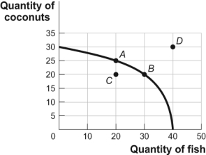 Use the following to answer questions: Figure: Tom's Production Possibilities   -(Figure: Tom's Production Possibilities)  Look at the figure Tom's Production Possibilities. Which point or points represent(s)  an infeasible combination of coconuts and fish? A) A only B) A and B C) B and C D) D only