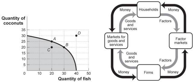Use the following to answer questions : Figure: Production Possibilities and Circular-Flow Diagram   -(Figure: Production Possibilities and Circular-Flow Diagram)  Look at the figure Production Possibilities and Circular-Flow Diagram. Assume the two figures represent the same economy. Suppose that in the circular-flow diagram there is a significant increase in the amount of human capital flowing to both coconut producers and fish producers. If all other variables remain unchanged, then the adjustment in this economy would be best represented in the production possibilities figure by a movement from point A toward: A) point A (no movement) . B) point B (a decrease in coconut production and an increase in fish production) . C) point C (a decrease in coconut production) . D) point D (an outward shift of the entire curve) .