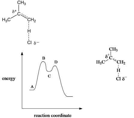 Which point on the potential energy diagram corresponds to the species below for the reaction of 2methylpropene with hydrogen chloride?    A)  A B)  B C)  C D)  D