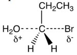  The species shown below represents the transition state for the   A)  reaction of 1-propanol with  \mathrm{HBr} . B)  reaction of 1-bromopropane with  \mathrm{OH}^{-} . C)  addition of  \mathrm{HOBr}  to 1-propene. D)  addition of  \mathrm{HBr}  to propene with peroxides. 
