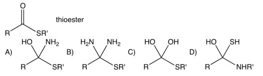 Which of the following is the tetrahedral intermediate formed in the reaction of a thioester with ammonia?   A)  A B)  B C)  C D)  D