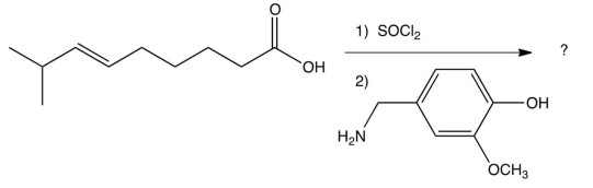 The major product from this reaction would be   A)  an acid chloride B)  an anhydride C)  an amide D)  an ester