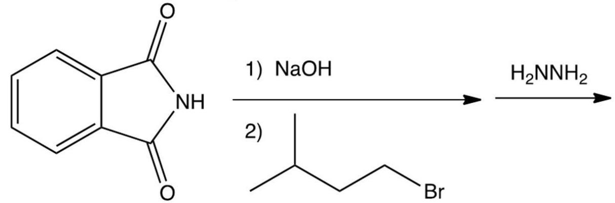  Which of the following is the product of the reaction shown below?      A)   \left(\mathrm{CH}_{3}\right) _{2} \mathrm{CHCH}_{2} \mathrm{CH}_{2} \mathrm{NHNH}_{2}  B)   \left(\mathrm{CH}_{3}\right) _{2} \mathrm{CHCH}_{2} \mathrm{CH}_{2} \mathrm{NH}_{2}  C)   \left[\left(\mathrm{CH}_{3}\right) _{2} \mathrm{CHCH}_{2} \mathrm{CH}_{2}\right]_{2} \mathrm{NH}  D)   \left(\mathrm{CH}_{3}\right) _{2} \mathrm{CHCH}_{2} \mathrm{CH}_{2} \mathrm{CONH}_{2}