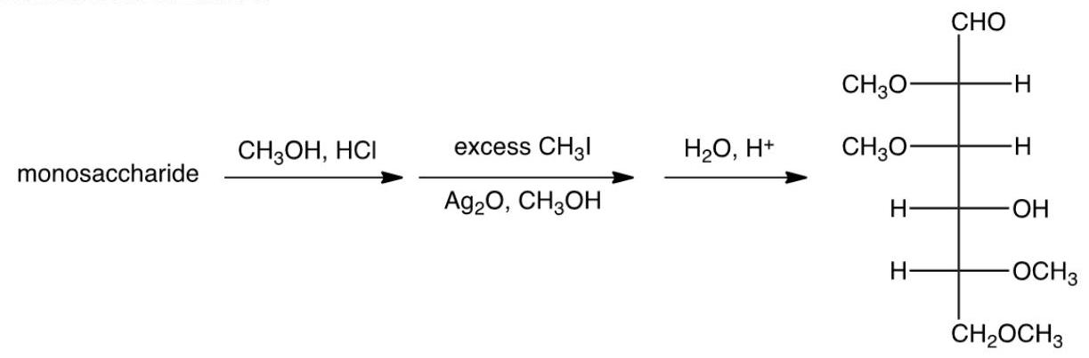  The following series of reactions was done on a monosaccharide. What information does this give about the monosaccharide?   A)  The monosaccharide was in the open-chain form. B)  The monosaccharide was in the furanose form. C)  The monosaccharide was in the pyranose form. D)  The monosaccharide was the  \alpha  anomer. 