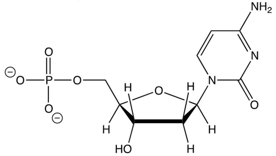How is the following structure classified?   A)  DNA base B)  nucleoside C)  nucleotide D)  nucleic acid