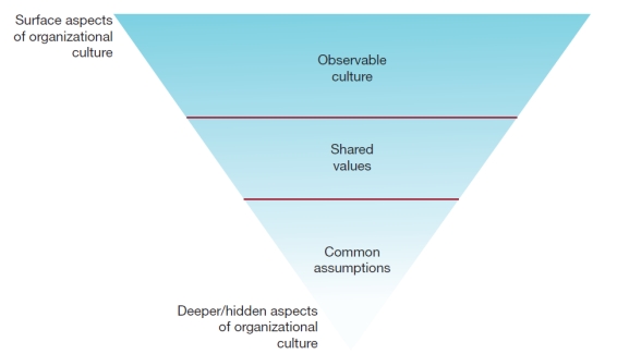 Visual Diagram Questions (These diagrams can be used to test understanding of concepts rather than mere recollection. The provision of the diagrams removes the pressure to remember but does draw on the ability to explain a visual image. Instructors should take care if using a mix of other questions with visual diagram questions to ensure that the diagram does not provide answers to other questions in a test or exam.) -Explain what the following diagram illustrates. Provide explanations for each of the levels of the diagram and give examples of each.   