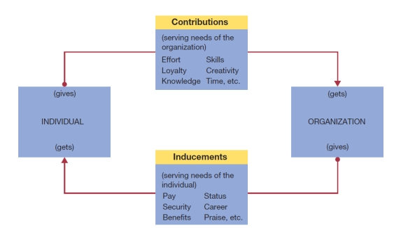 Visual Diagram Question (These diagrams can be used to test understanding of concepts rather than mere recollection. The provision of the diagrams removes the pressure to remember but does draw on the ability to explain a visual image. Instructors should take care if using a mix of other questions with visual diagram questions to ensure that the diagram does not provide answers to other questions in a test or exam.) -What does the following diagram illustrate? Explain how it might work for a graduate recruit who has started her first management job in a large multinational organization.  