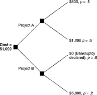 <strong>Consider this decision tree,which represents the outcomes of two alternative projects that Ink,Inc.,a producer of printers,might pursue.Ink,Inc.,needs to borrow $1,000 to pursue either project and is going to sell bonds to finance the venture.   Under these circumstances,bondholders and shareholders may have incompatible incentives because:</strong> A) shareholders know that they have limited liability because of their ability to declare bankruptcy. B) bondholders are not profit maximizers. C) shareholders are not profit maximizers. D) bondholders have limited liability because insurance against risk is provided by the federal government. E) shareholders insure bondholders against risk. <div style=padding-top: 35px> 
