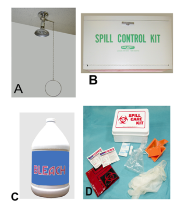   -While transferring a specimen from the collection container to a transport container for shipping, the phlebotomist spilled some of the specimen on the counter. Which image best represents what should occur next? A)  Image A B)  Image B C)  Image C D)  Image D 