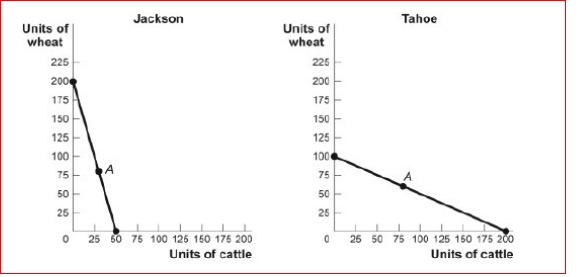 Figure: The Production Possibility Frontiers for Jackson and Tahoe   (Figure: The Production Possibility Frontiers for Jackson and Tahoe)  Look at the figure The Production Possibility Frontiers for Jackson and Tahoe.In autarky, Jackson produces and consumes 30 head of cattle and 80 bushels of wheat, while Tahoe produces and consumes 80 head of cattle and 60 bushels of wheat.Assume each nation specializes completely, based on comparative advantage, and the price of 1 head of cattle equals 2 bushels of wheat.If Jackson exports 120 bushels of wheat to Tahoe, Tahoe will export head of cattle to Jackson. A) 120 B) 60 C) 240 D) 200 