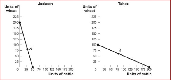 Figure: The Production Possibility Frontiers for Jackson and Tahoe    (Figure: The Production Possibility Frontiers for Jackson and Tahoe) Look at the figure The Production Possibility Frontiers for Jackson and Tahoe.In autarky, Jackson produces and consumes 30 head of cattle and 80 bushels of wheat, while Tahoe produces and consumes 80 head of cattle and 60 bushels of wheat.Each nation specializes completely, based on comparative advantage, and the price of 1 head of cattle equals 2 bushels of wheat.If Jackson exports 120 bushels of wheat to Tahoe, then the new consumption point for Tahoe after trade is ________ bushels of wheat and head of cattle.  A.120; 140 B.120; 60 C.60; 120 D.400; 200