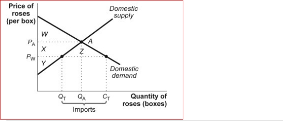 Figure: The Market for Roses    (Figure: The Market for Roses) Look at the figure The Market for Roses.In the figure, producer surplus without international trade would be area or areas:  A.X + Y + Z. B.W + X + Y. C.X + Y. D.Y.