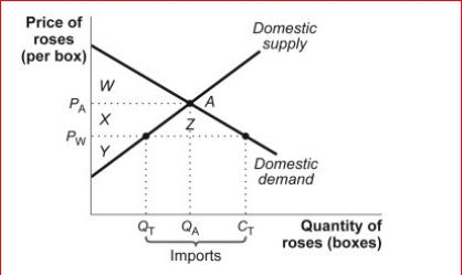 Figure: The Market for Roses     (Figure: The Market for Roses)  Look at the figure The Market for Roses.In the figure, producer surplus with international trade would be area or areas: A) X + Y + B) Z.W + X + Y. C) X + Y. D) Y. 