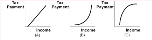 Figure: Income Tax Payments     (Figure: Income Tax Payments)  Look at the figure Income Tax Payments.Which panel or panels best represent the effects of a proportional income tax? A) A B) B C) C D) A and B 