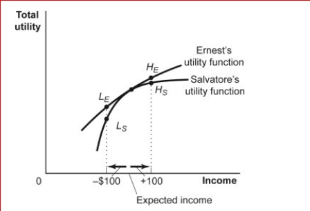 Figure: Differences in Risk Aversion     (Figure: Differences in Risk Aversion)  Look at the figure Differences in Risk Aversion.An important reason Ernest and Salvatore may differ in their aversion to risk is that they may differ in: A) how their marginal utility is affected by income. B) their understanding of risk. C) their initial wealth holding or initial income level. D) how their marginal utility is affected by income and in their initial wealth holding or initial income level. 