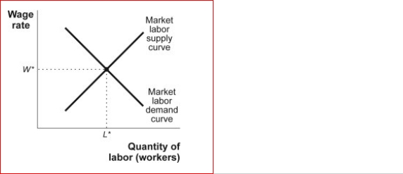 Figure: Equilibrium in the Labor Market   (Figure: Equilibrium in the Labor Market)  In the figure Equilibrium in the Labor Market, a decrease in population that decreases the number of workers, when everything else stays the same, will lead to a(n)  ________ in the equilibrium quantity of labor and a(n)  in the equilibrium price of Labor. A) increase; increase B) decrease; increase C) increase; decrease D) decrease; decrease 