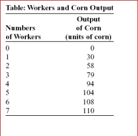     (Table: Workers and Corn Output)  Laura is a price-taking farmer who produces corn.The table Workers and Corn Output shows her production function.Suppose Laura acquires more land and as a result the output that can be produced by any given number of workers doubles.If the wage is $130 and the price per bushel of corn is $10, Laura should hire workers to maximize Profits. A) four B) five C) six D) seven 