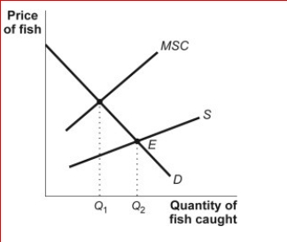 Figure: Marginal Social Cost and Supply     (Figure: Marginal Social Cost and Supply)  In the figure Marginal Social Cost and Supply, the marginal social cost curve lies above the supply curve: A) because the marginal social benefit is greater for a common resource. B) and the efficient quantity of this common resource is point C) because the marginal social cost includes the cost of depleting this common resource. D) because this is a public good. 