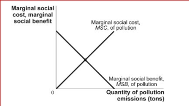Figure: The Socially Optimal Quantity of Pollution     (Figure: The Socially Optimal Quantity of Pollution)  In the figure The Socially Optimal Quantity of Pollution, the optimal quantity of pollution: A) could be achieved with a Pigouvian subsidy. B) is unlikely to be achieved without government intervention. C) could be achieved with a Pigouvian tax. D) is unlikely to be achieved without government intervention, but it could be achieved with a Pigouvian tax. 