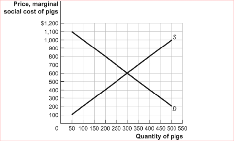 Figure: Negative Externalities and Raising Pigs for Pork     (Figure: Negative Externalities and Raising Pigs for Pork)  Refer to the figure Negative Externalities and Raising Pigs for Pork.If the socially optimal production of pigs is 250, the government could achieve this socially optimal production by imposing a Pigouvian tax of: A) $400. B) $300. C) $250. D) $200. 