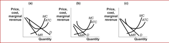 Figure: Monopolistic Competition II     (Figure: Monopolistic Competition II)  Which of the panels in the figure Monopolistic Competition II shows a monopolistic competitor in long-run equilibrium? A) panel a B) panel b C) panel c D) panels a, b, and c. 