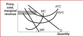 Figure: Monopolistic Competition IV     (Figure: Monopolistic Competition IV)  The monopolistic competitor in the figure Monopolistic Competition IV is producing at the output level that maximizes profits (minimizes losses) .The shaded rectangle depicts the level of: A) profit. B) loss. C) fixed cost. D) variable cost. 