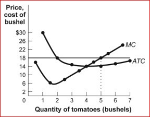 Figure: Revenues, Costs, and Profits for Tomato Producers     (Figure: Revenues, Costs, and Profits for Tomato Producers)  Look at the figure Revenues, Costs, and Profits for Tomato Producers.The market for tomatoes is perfectly competitive, and an individual tomato farmer faces the cost curves shown in the figure.The market price of a bushel of tomatoes is $18.At the profit-maximizing quantity of output in the figure, the farmer's total revenue is ________, total cost is ________, and profit is _. A) $90; $14; $76 B) $90; $70; $20 C) $30; $42; -$12 D) $48; $56; -$8 