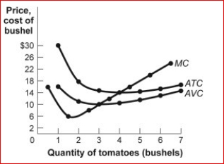 Figure: Revenues, Costs, and Profits III for Tomato Producers     (Figure: Revenues, Costs, and Profits III for Tomato Producers)  Look at the figure Revenues, Costs, and Profits III for Tomato Producers.The market for tomatoes is perfectly competitive, and an individual tomato farmer faces the cost curves shown in the figure.If market price of a bushel of tomatoes is $18, the farmer's profit-maximizing output is bushels. A) 2 B) 3 C) 4 D) 5 