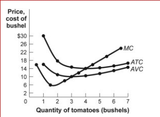 Figure: Revenues, Costs, and Profits III for Tomato Producers      (Figure: Revenues, Costs, and Profits III for Tomato Producers) Look at the figure Revenues, Costs, and Profits III for Tomato Producers.The market for tomatoes is perfectly competitive, and an individual tomato farmer faces the cost curves shown in the figure.If the market price of a bushel of tomatoes is $8, the farmer's profit-maximizing output is bushels.  A.0 B.1 C.2 D.3