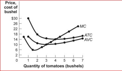 Figure: Revenues, Costs, and Profits III for Tomato Producers      (Figure: Revenues, Costs, and Profits III for Tomato Producers) Look at the figure Revenues, Costs, and Profits III for Tomato Producers.The market for tomatoes is perfectly competitive, and an individual tomato farmer faces the cost curves shown in the figure.If market price of a bushel of tomatoes is $12, this farm will:  A.minimize its losses by shutting down. B.minimize its losses by continuing to produce. C.break even. D.earn an economic profit.