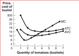 Figure: Revenues, Costs, and Profits III for Tomato Producers      (Figure: Revenues, Costs, and Profits III for Tomato Producers) Look at the figure Revenues, Costs, and Profits III for Tomato Producers.The market for tomatoes is perfectly competitive, and an individual tomato farmer faces the cost curves shown in the figure.The farm's short-run supply curve is the ________ curve above a price of _.  A.average total cost; $14 B.average variable cost; $10 C.marginal cost; $10 D.marginal cost; $14