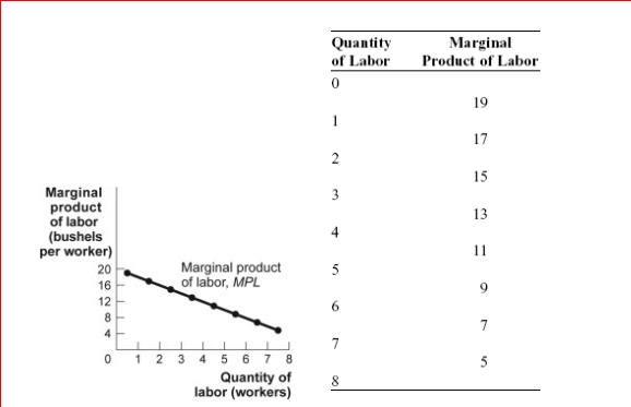 Figure: The Marginal Product of Labor     (Figure: The Marginal Product of Labor)  Look at the figure The Marginal Product of Labor.The total product of labor for five workers is: A) 11 bushels. B) 45 bushels. C) 55 bushels. D) 75 bushels. 